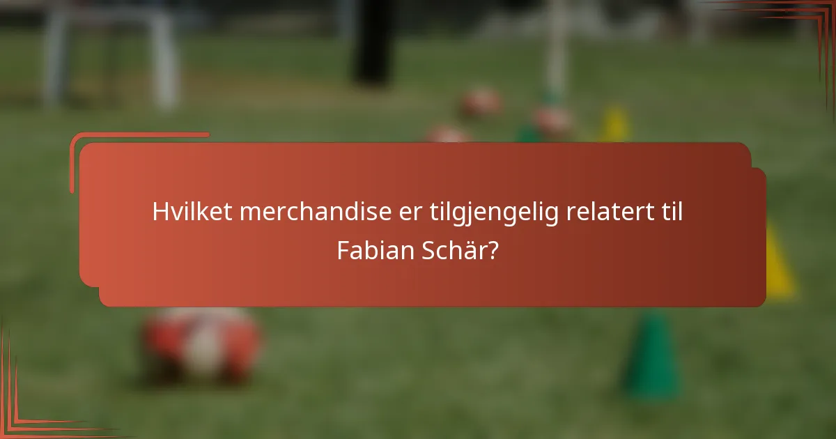 Hvilket merchandise er tilgjengelig relatert til Fabian Schär?